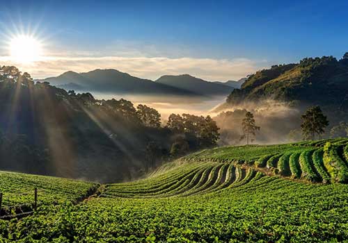Kerala