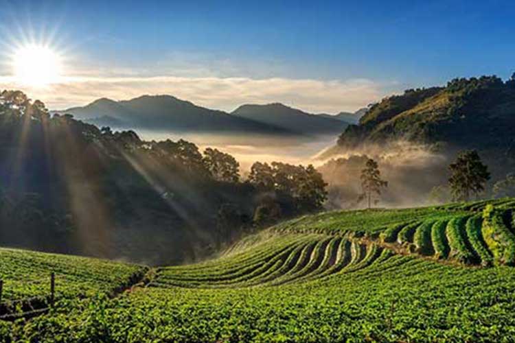 Kerala